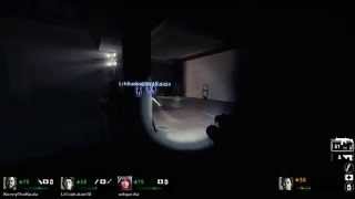 L4D2: Witch Fail