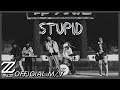 2z tuzi  stupid official mv