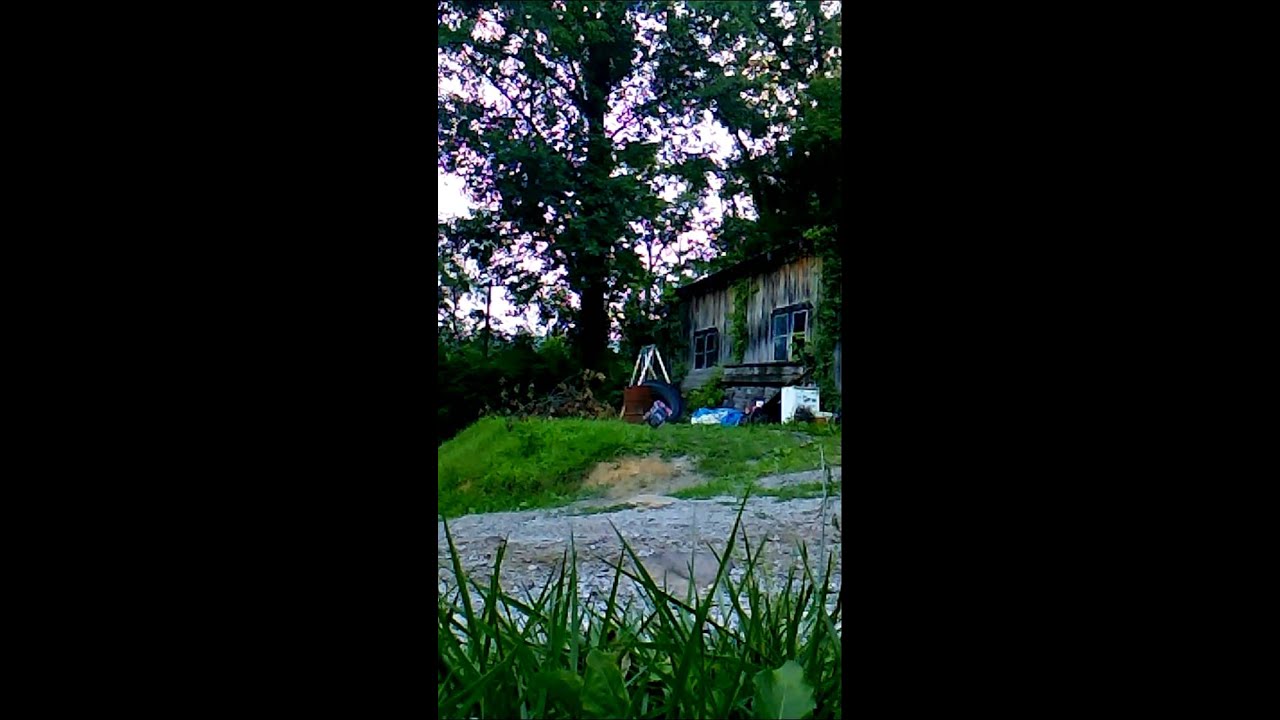 Slash 2WD with radient reaktor dominus setup