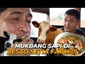 RESTO TERBARU MAS HERMAWAN SETIA FARM,LANGSUNG VIEW SAWAH GAES...!!!