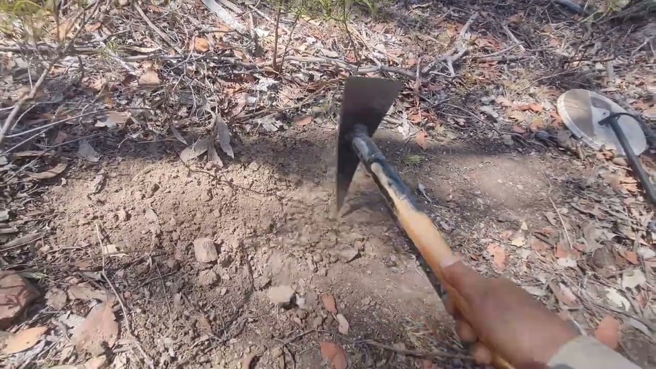 Day 2 on a little patch area