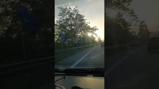 Video Aihttps://xifuviralsolution.bcl.my/form/gently-ai-video-generator/14881 #ai #aivideo #flowers