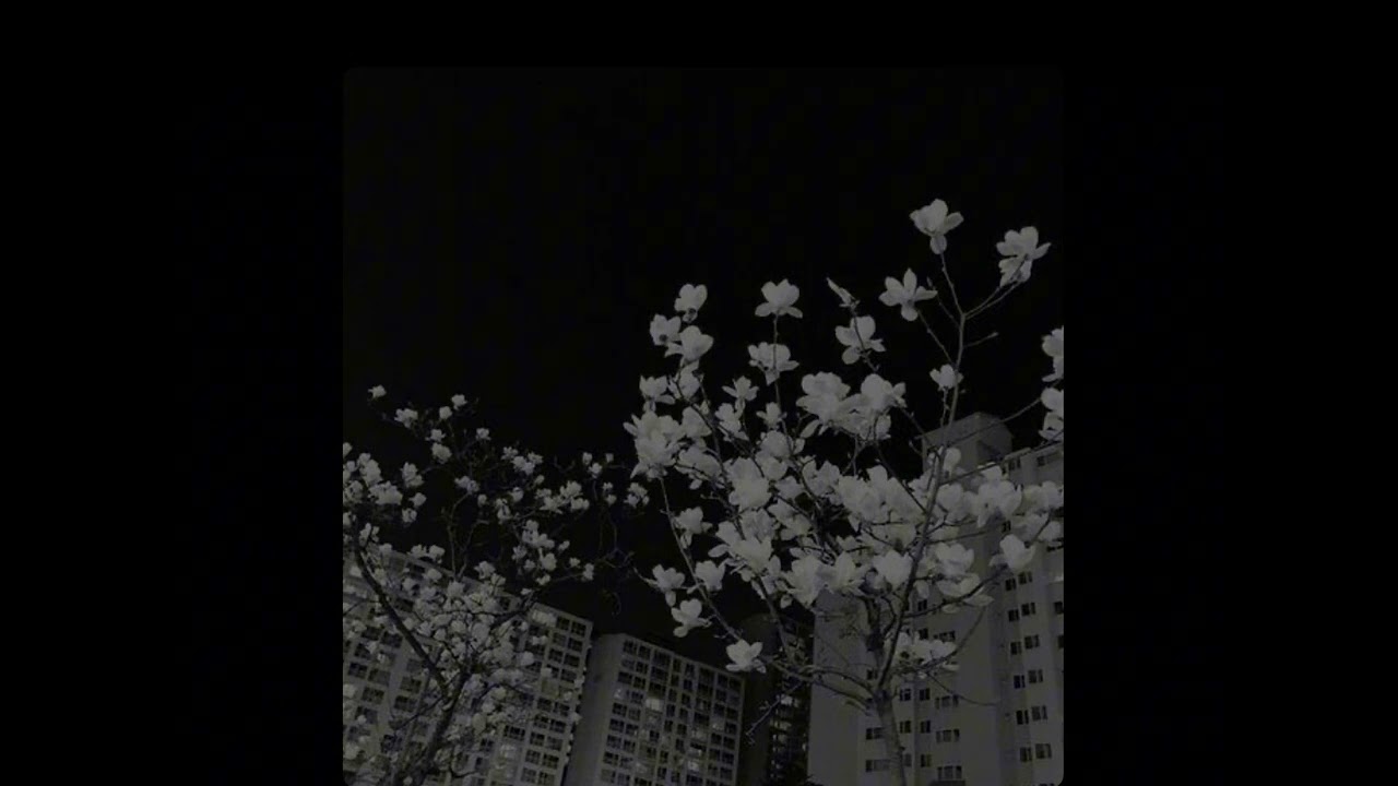 Shadow comet (slowed & reverb)