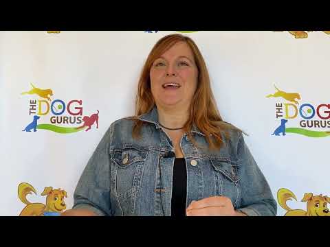What do You Love about Pet Guru College?