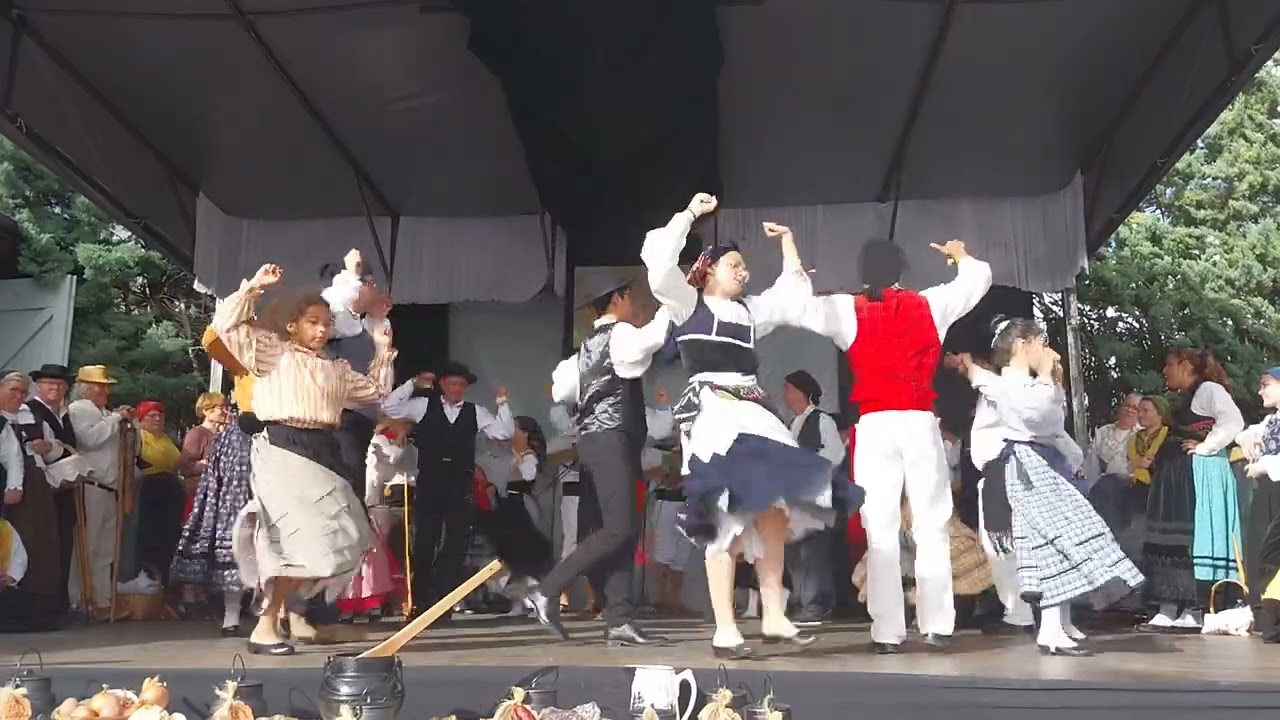 Rancho estrelas do minho de vaulx en velin no festival a caluir