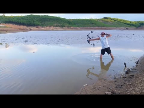 Video Đi bắn cá bằng cung thể thao và bắt rắn | LÝ NGUYỄN... - youtube