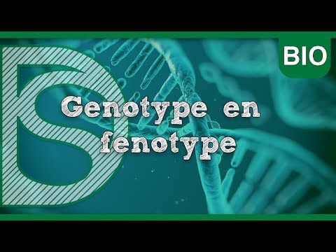 Examen biologie - Genotype en fenotype (Erfelijkheid)