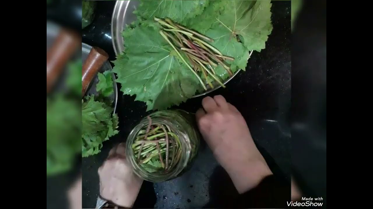 هتخلكى تحفظيه من السنه لسنه ويحتفظ بطعمه وجماله بسهوله ورق العنب