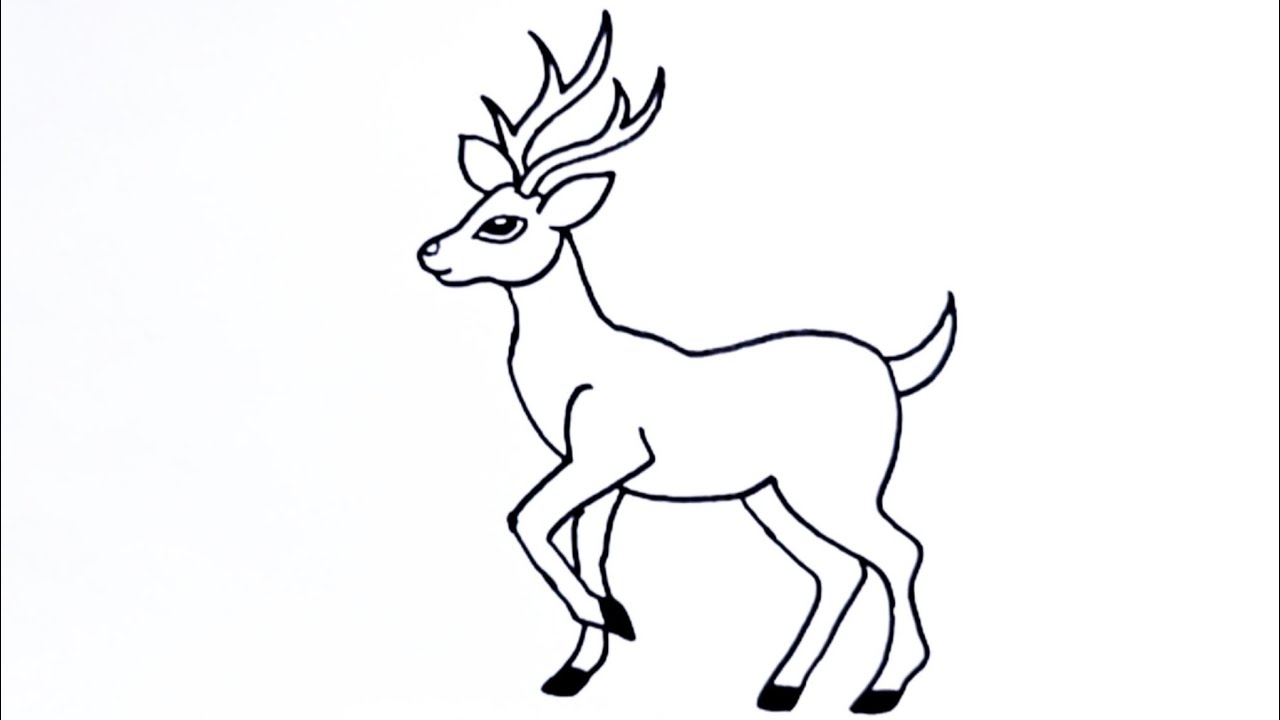 Easy Deer Drawing Tutorial 🦌 | Simple Step by Step Drawing for Beginners | Animal Art