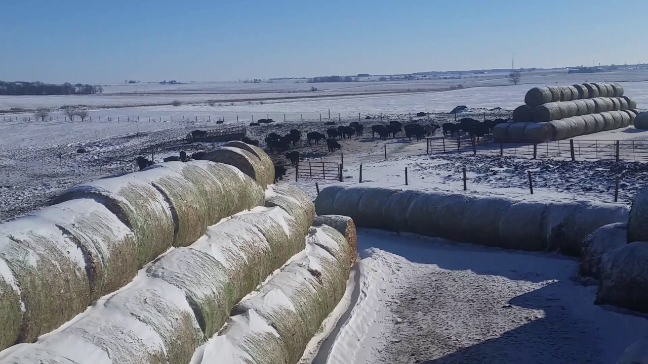 Cornstalk Bale Stacks YouTube
