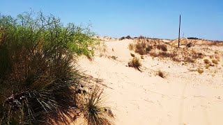 Walking through the west texas desert