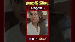 పరయక పసట ల ఏమద..?