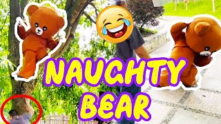 Pippi Bear :I'm a bear that can climb trees. 🐻🤣 #funny #funnyvideo