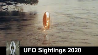 UFO Sightings 2020 Something In The Jungle