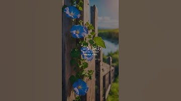 وَاذْكُر رَّبَّكَ إِذَا نَسِيتَ ، أذكرني بدعوه . #قران #quran #سورة_التوبة