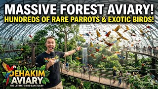 Khám Phá Siêu Aviary Khổng Lồ Như Khu Rừng Tự Nhiên | Dehakim Aviary Tour 🦜 AVIARY BIRD 