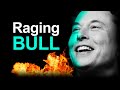 Tesla Bull Goes CRAZY: Stock “Best Value" EVER