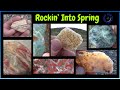 Se8 ep19  rockhounding putah creek gravel beds  by  quest for details