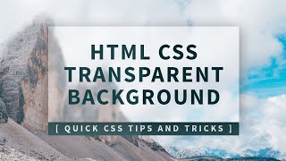 CSS Transparent Div Background | Quick CSS Tips and Tricks screenshot 3