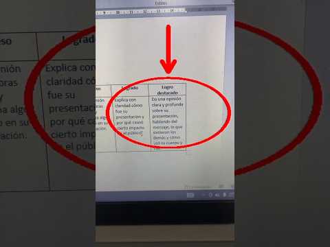 Identificando Problemas Comunes en el Soporte de Goldzino