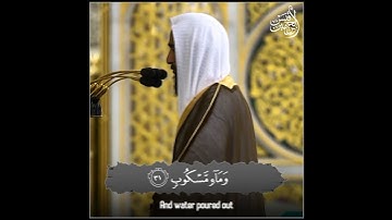 🔹 #حالة_واتساب 🔹 القارئ: #أحمد_طالب_حميد •••━══❁✿❁══━•••