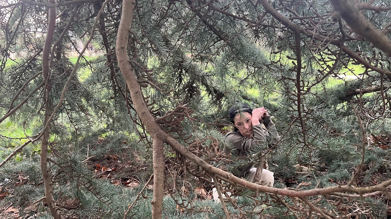 木の中のうち/ Someone in a Tree