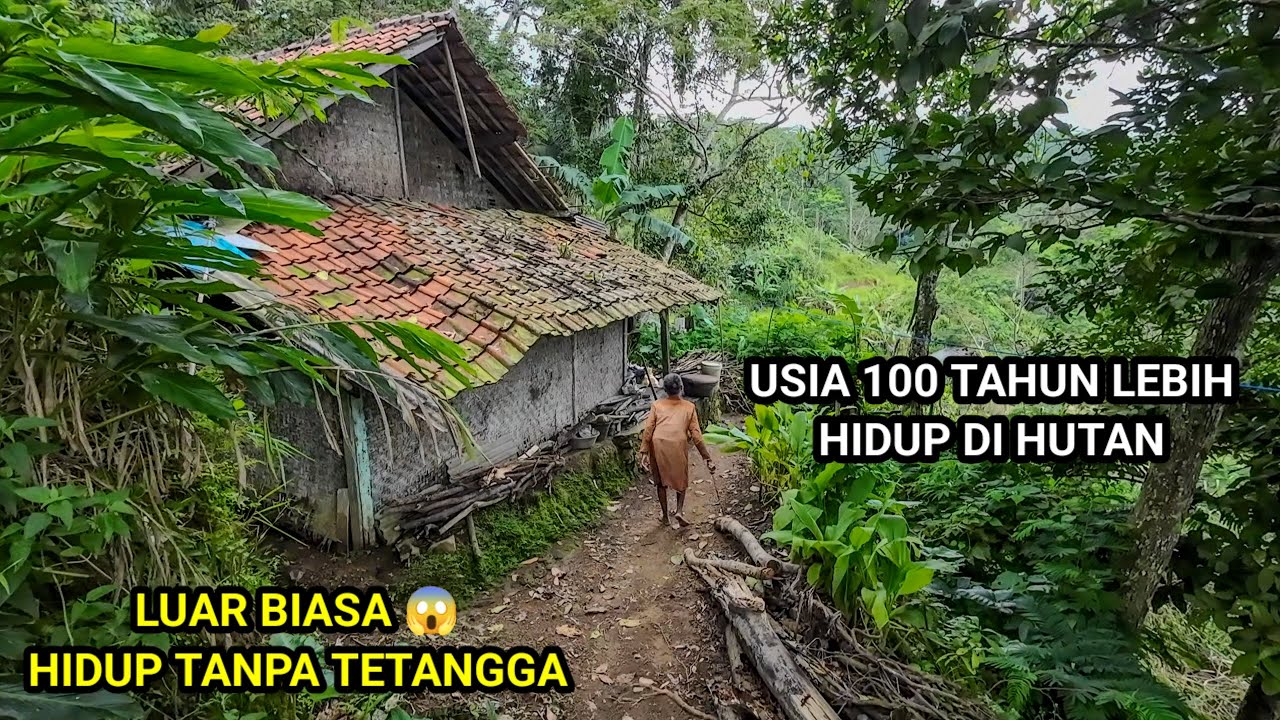 80 TAHUN TANPA TETANGGA HIDUP DI HUTAN BERDAMPINGAN DENGAN KUBURAN ANAK NYA