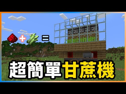 【Minecraft】超簡單無限全自動甘蔗機❗在也不缺甘蔗1.21居然也能夠使用😱【棉花糖  Marshmallow】全字幕