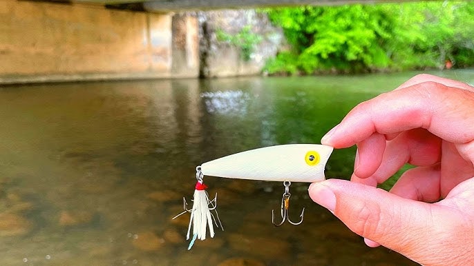 Creek Fishing with the Rico - WORLD'S MOST EXPENSIVE POPPER