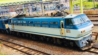 2023/4/2  EF66-127 + EF64-1033 (2077レ) ブルボンプチクマコンテナあり ♢Japanese freight trains♢