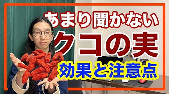 クコの実 Youtube