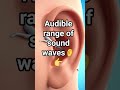 Audible range of sound waves 🔊 💁♂️ #nursingnotes #quicklearning #medsurgnursing #learnwithfun