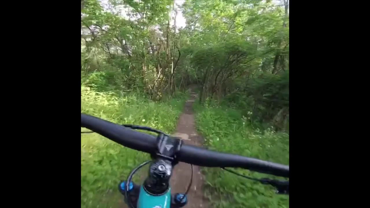 Veterans Park Lexington, KY YouTube