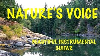 ギター nature sound VRC Effects pedals | nature sound Official Website