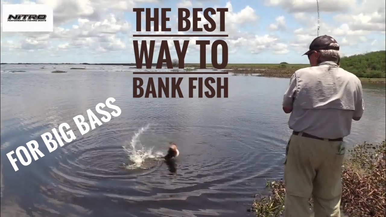 ABC's of great Bank fishing for big bass - YouTube