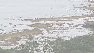 Season of Creation 2022 - Sea Level Rise in Fiji