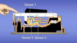 casio smart scaled hammer action