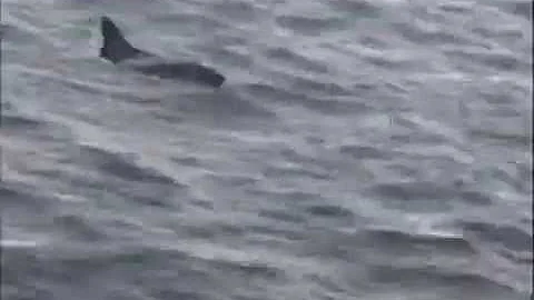 A 7 CORSAIR II   LOW FLIGHT