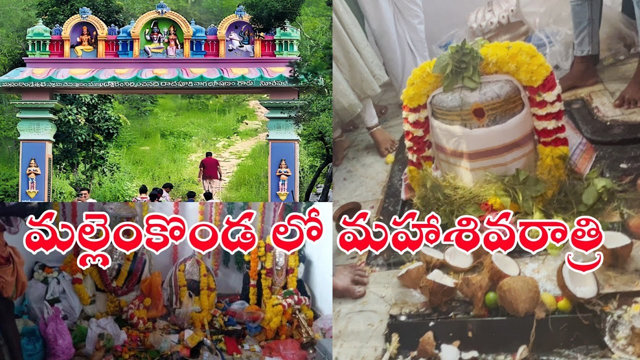 శ్రీ మల్లెంకొండ అంకమ్మతల్లి దేవస్థానం లో మహాశివరాత్రి|Sri Mallemkonda AnkammaThalli Temple||HN9TV