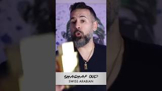 Download Mp3 SHAGHAF OUD, IS IT ANY GOOD? #shorts #cubaknow Gudang lagu Download Mp3 SHAGHAF OUD, IS IT ANY GOOD? #shorts #cubaknow