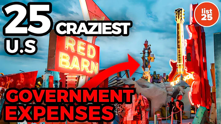 25 CRAZIEST THINGS The U.S. Government Spends MONEY On