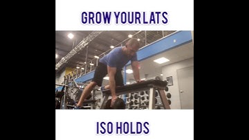 Iso Hold Dumbbell Rows
