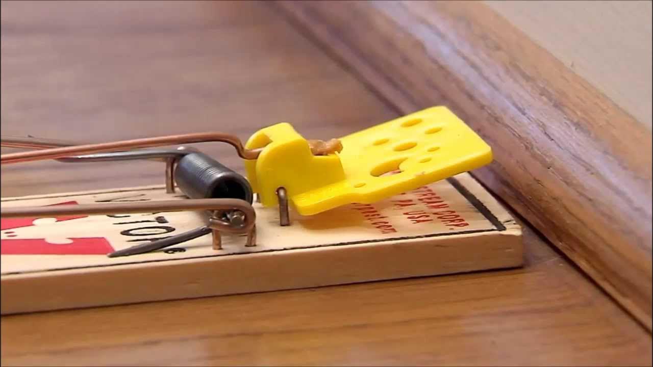 Victor Quick-Kill Mouse Trap Instructions Video