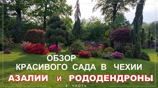 :   Miniarboretum u Holubu  .    . 4 .