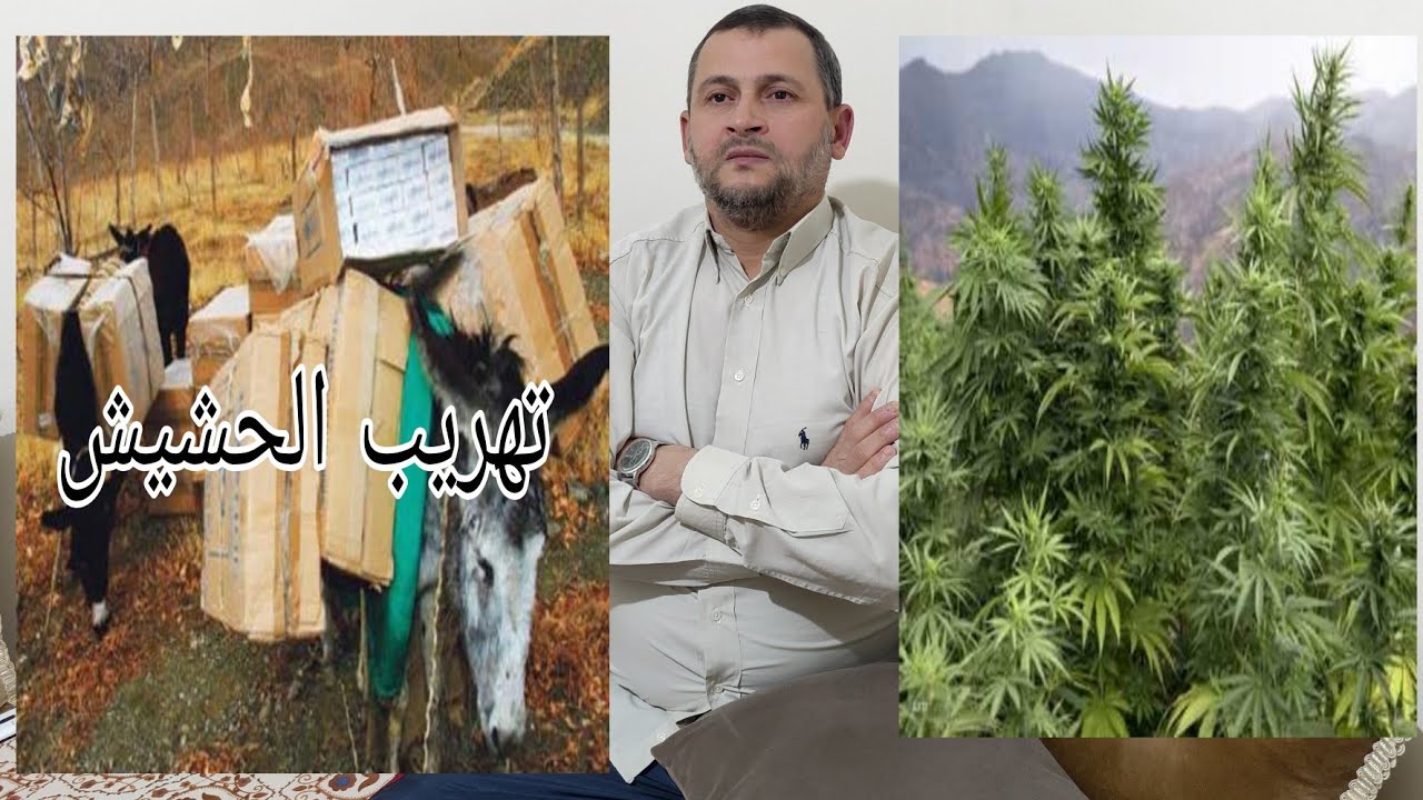 قصتي مع عصابة المخذرات في أعالي جبال الكيف