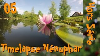 HS#05 - Timelapse Nénuphar GoPro