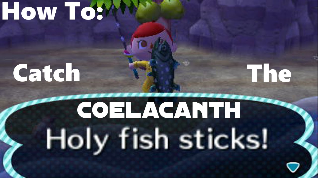 How To Catch Coelacanth Animal Crossing New Leaf Youtube