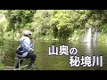 山奥の秘境川でへらぶな釣り！クリアウォーターでも良型が連発して釣れる楽園だった。