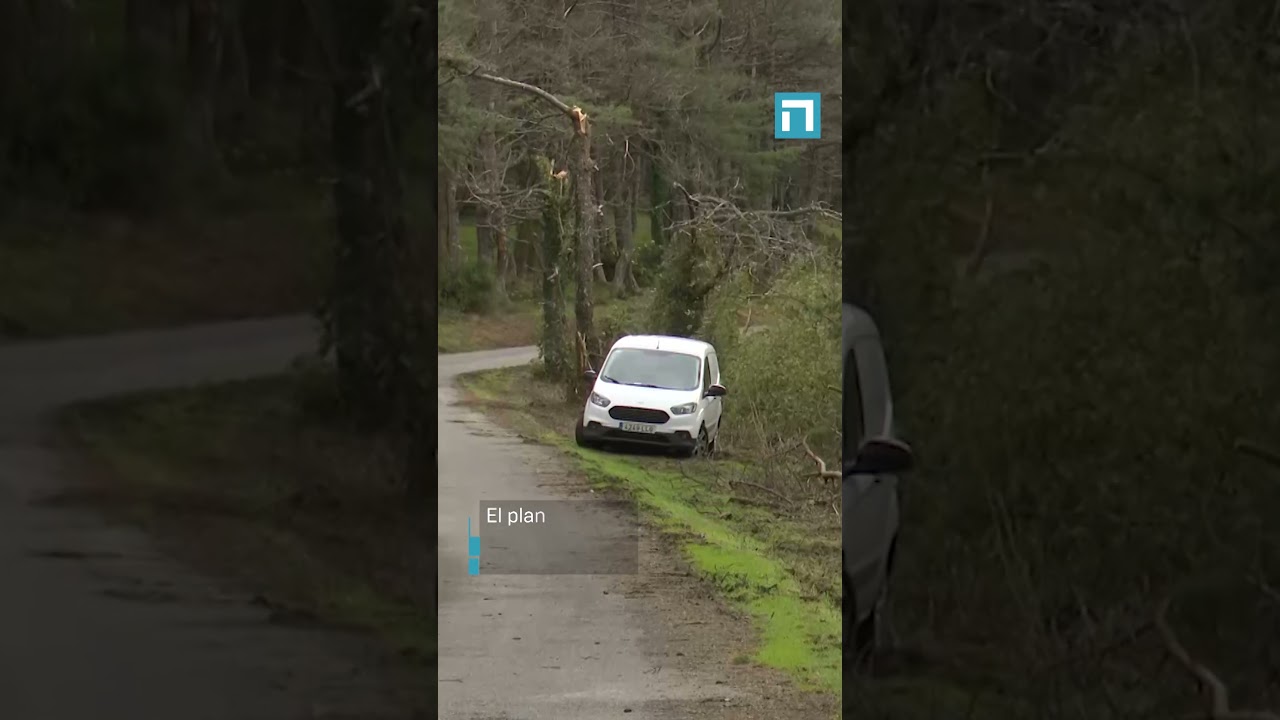 Medio Rural invierte 435.000 € en la mejora del monte Carbayal