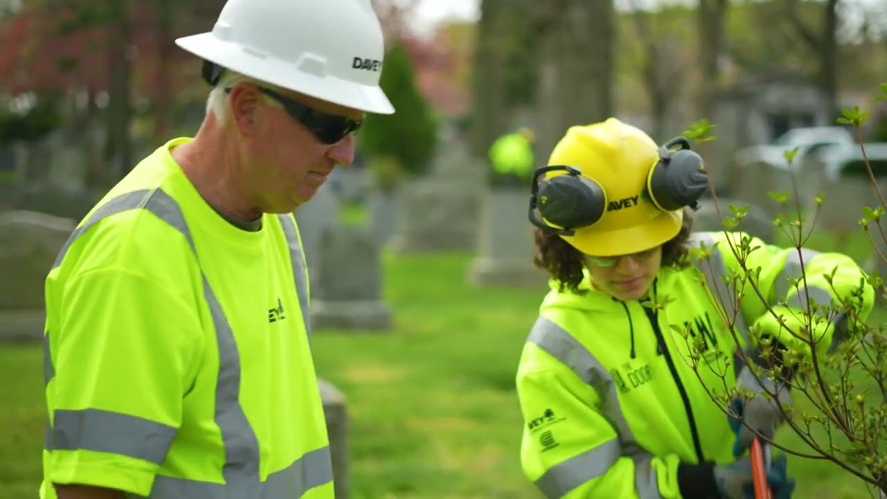 Davey Commercial Services: Woodlawn Cemetery